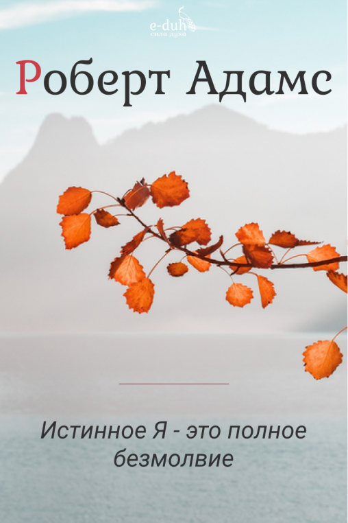 Роберт Адамс - Истинное Я - это полное безмолвие