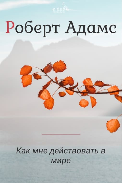 Роберт Адамс - Как мне действовать в мире