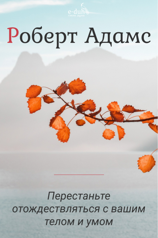 Роберт Адамс - Перестаньте отождествляться с вашим телом и умом